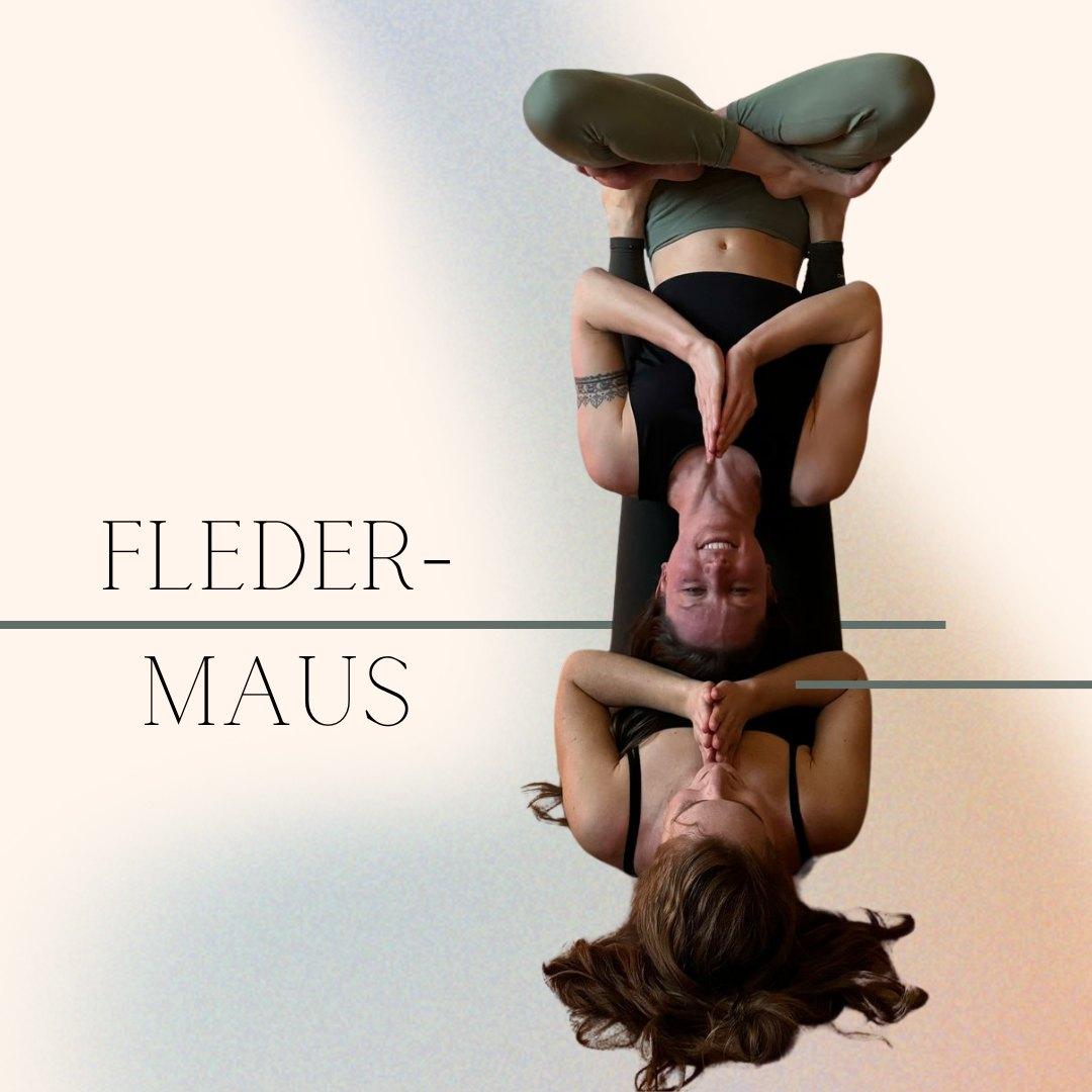 **AkroYoga EinsteigerInnen Workshop** (Fledermaus)